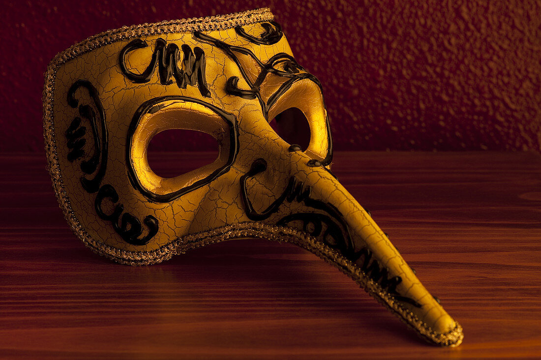 Stage Costume Plague Mask