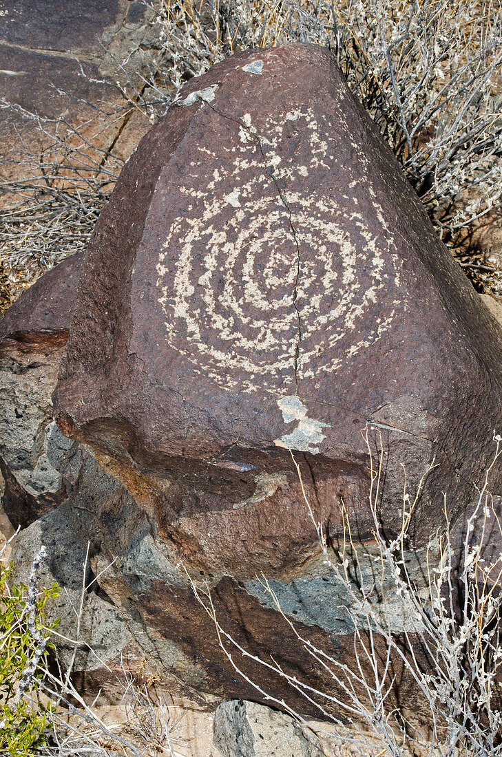 Jornada Mogollon Prehistoric Indian Petroglyph