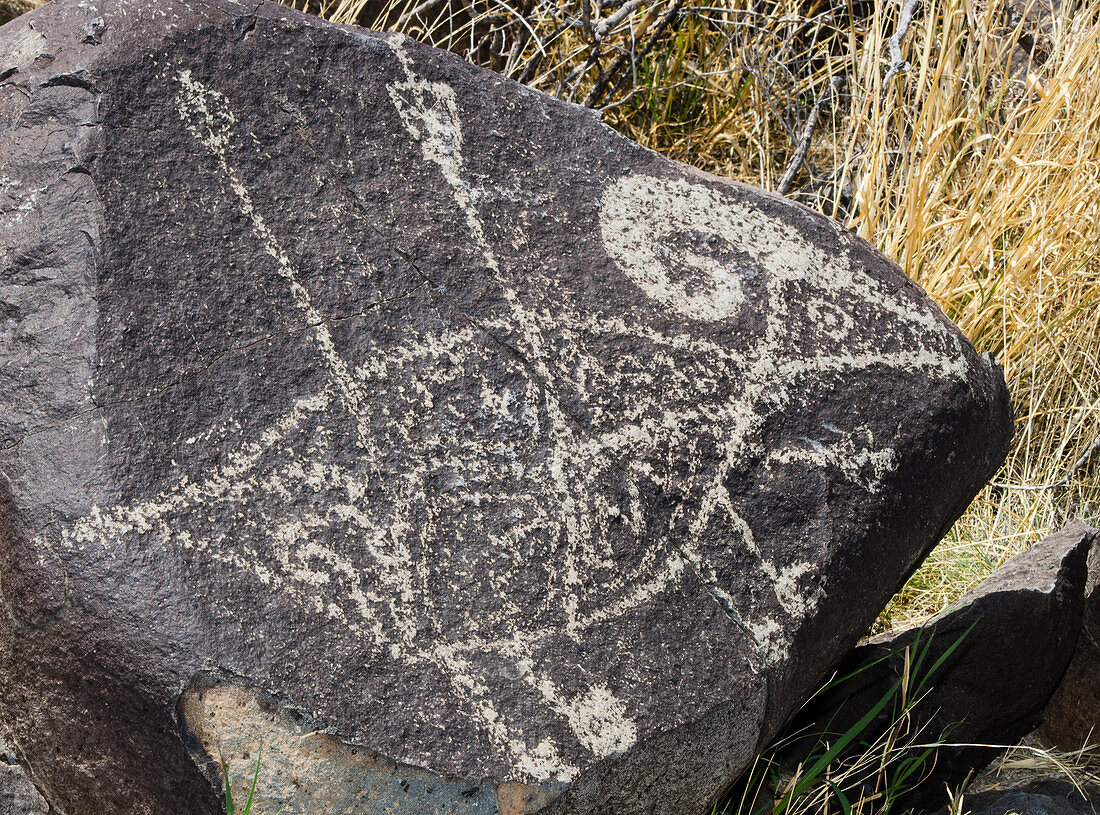 Jornada Mogollon Prehistoric Indian Petroglyph