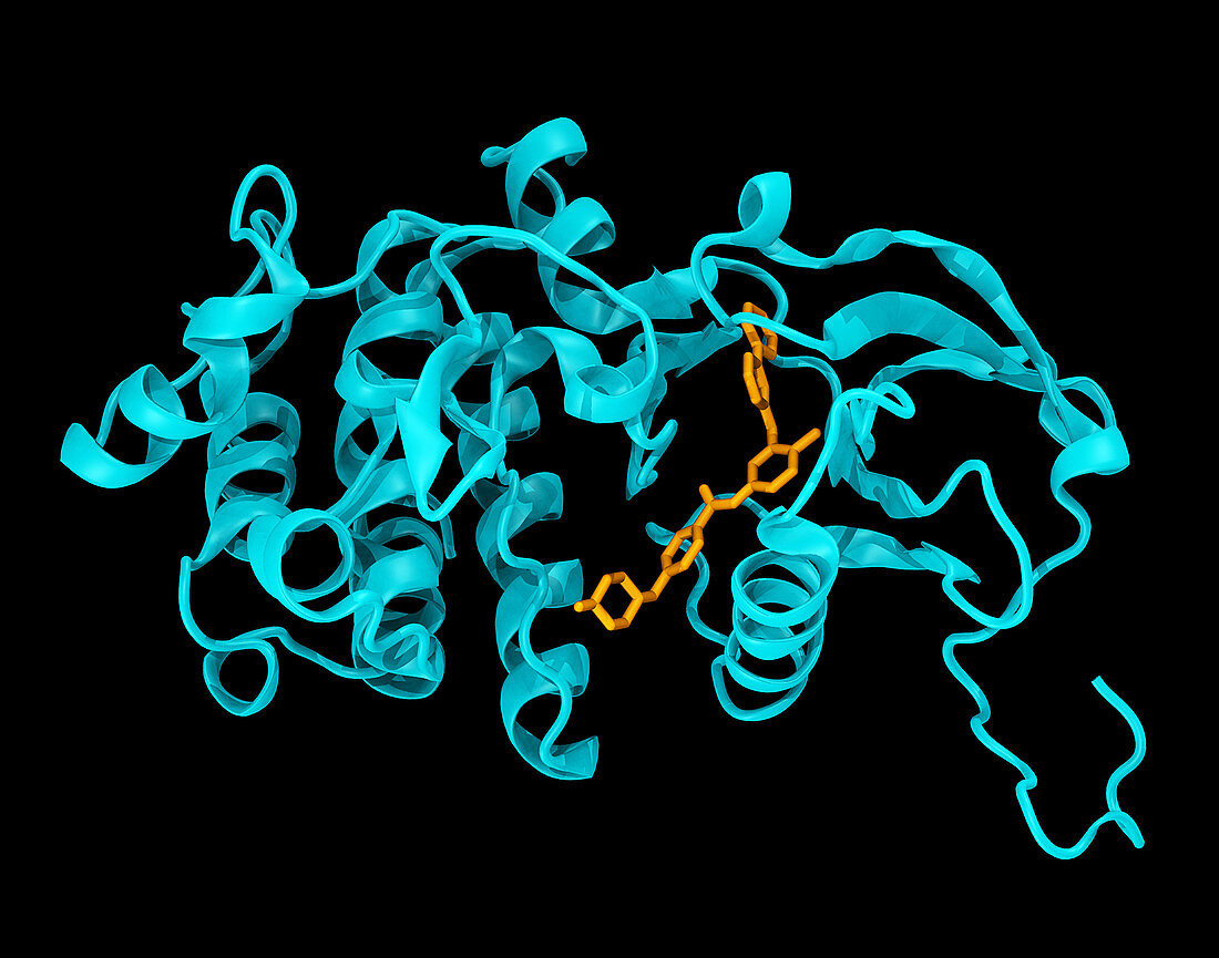 Imatinib in c-Abl Kinase domain, Model