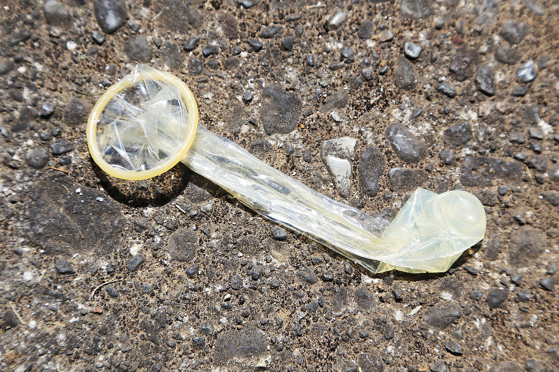 Discarded Condom on Walk