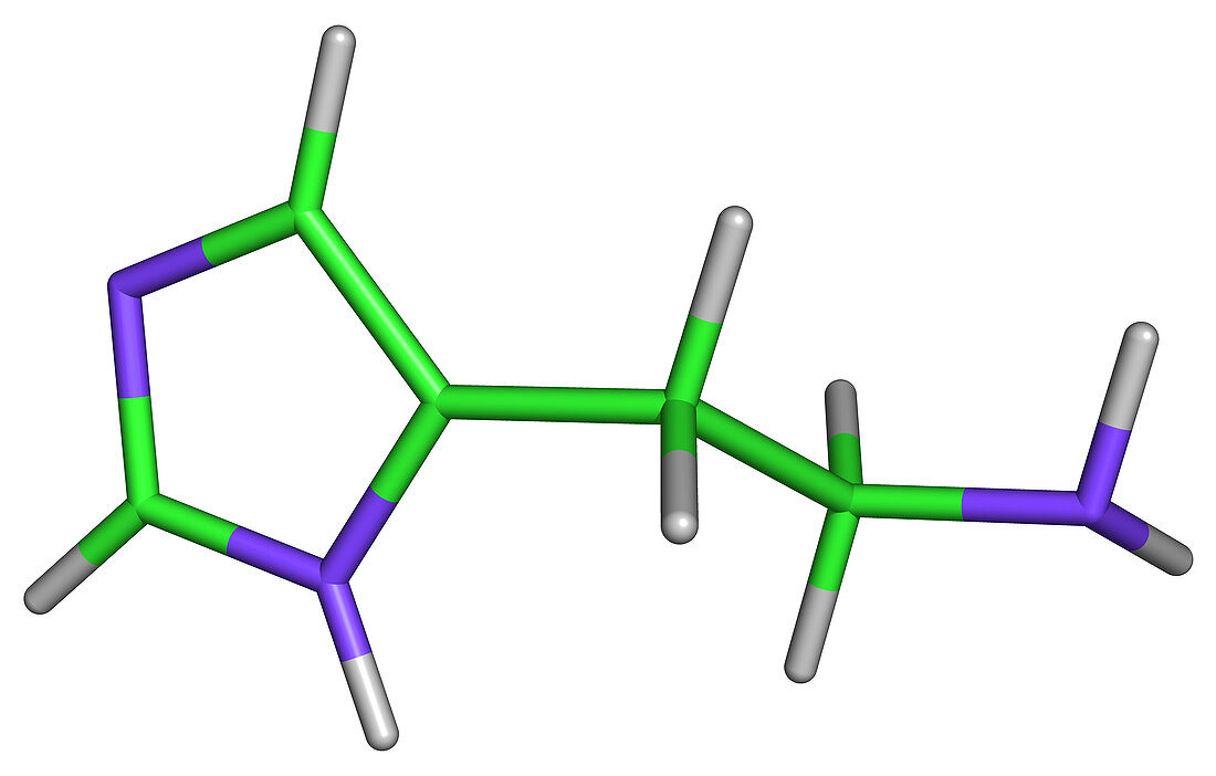 Histamine Molecule