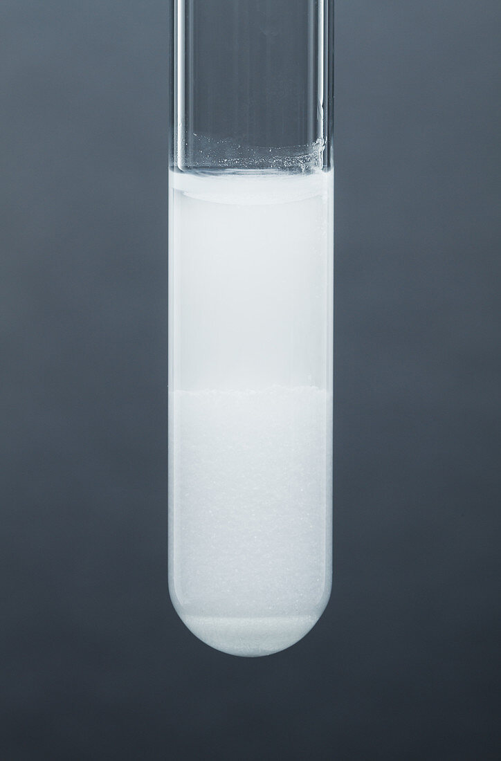 Lead chloride precipitate