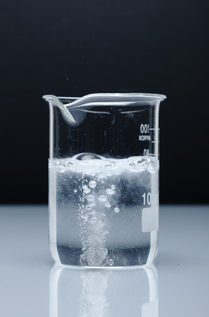 Calcium Reacts with Water, 1 of 4