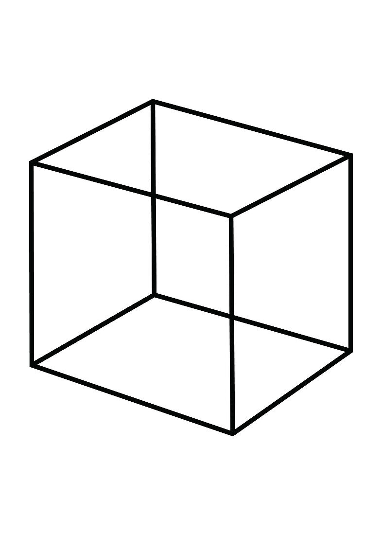 Optical Illusion, Necker Cube, Illustration