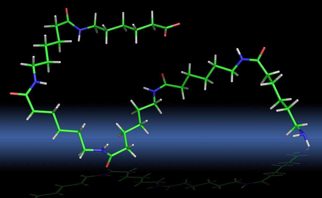 Nylon 6 hexamer molecule