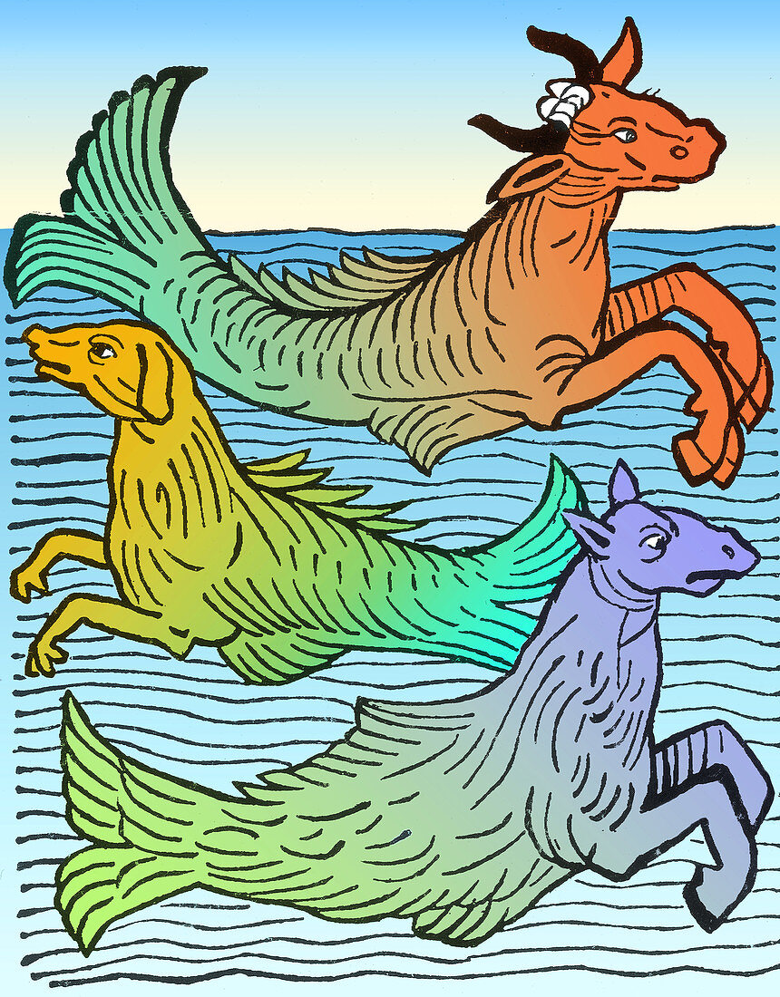 Legendary Sea Creatures, 15th Century