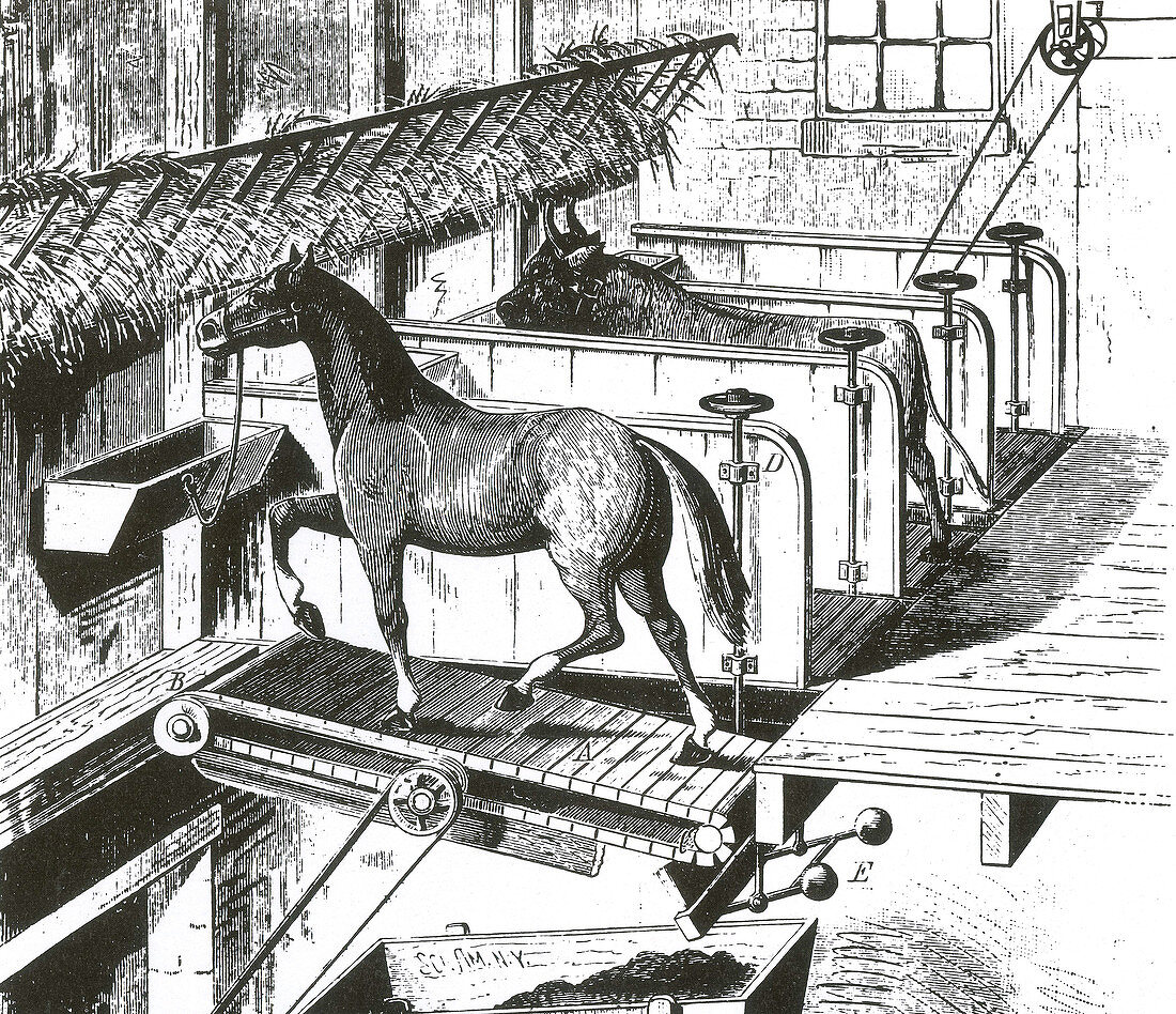 Horse Powered Stall Cleaner, 1880