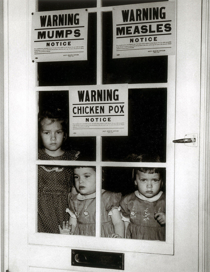 Quarantine, 1953