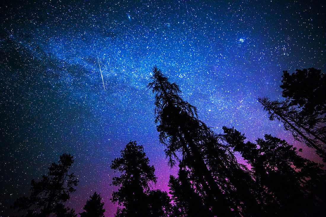 Perseid Meteor, Milky Way, Aurora