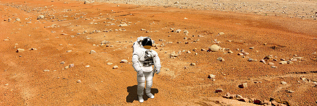 Stranded Astronaut on Moon, Concept