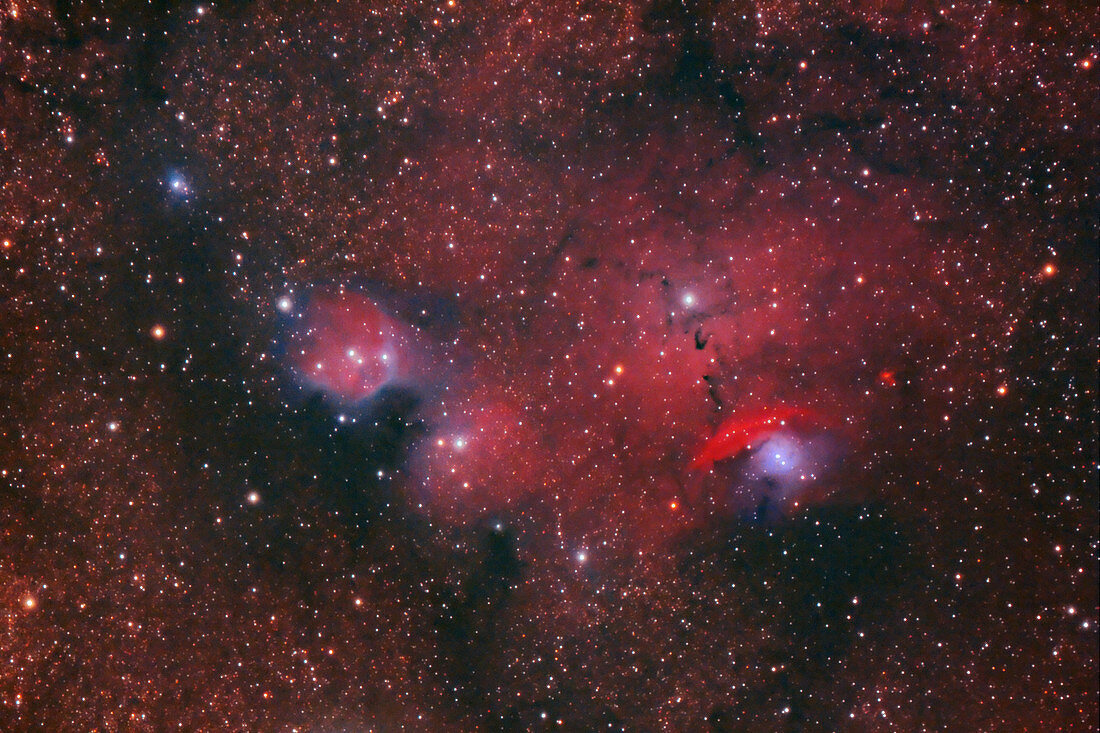 NGC 6559 Complex in Sagittarius