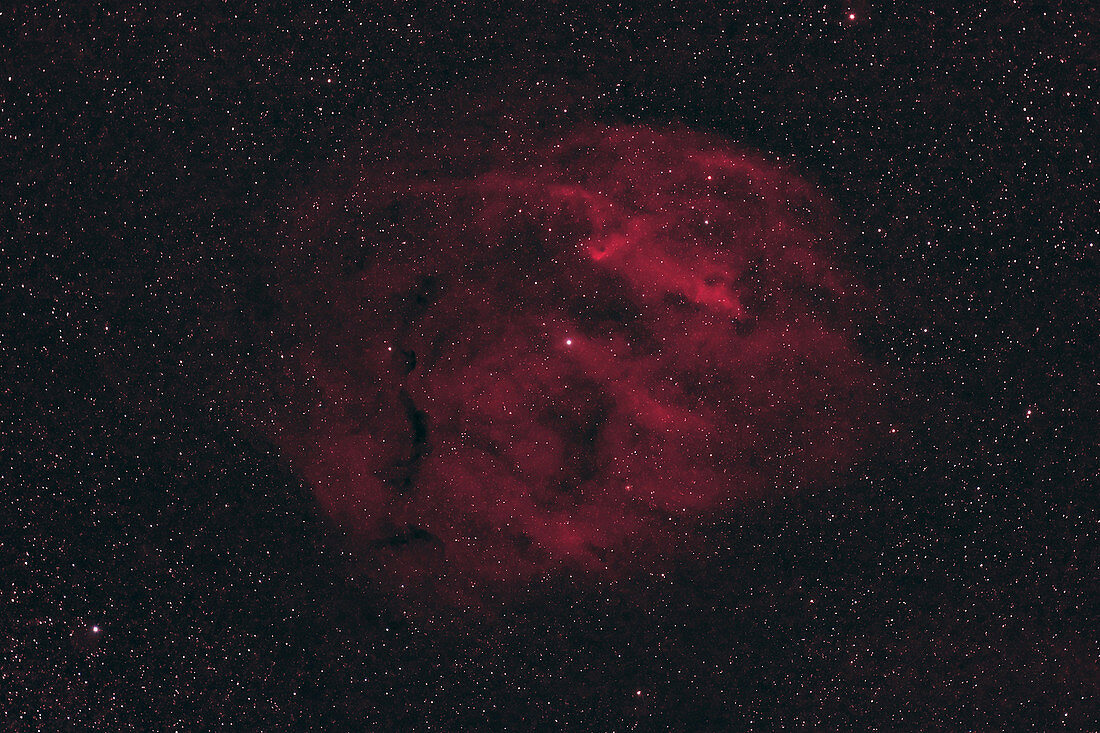 Sh2-27, the Zeta Ophiuchi Nebula