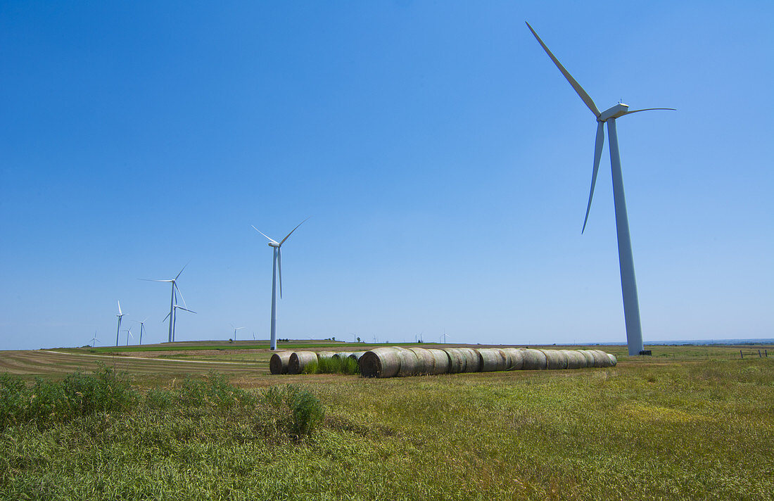 Wind Power Turbines, OR