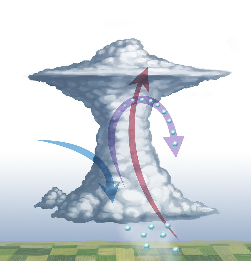 Hail Storm Cloud, Illustration