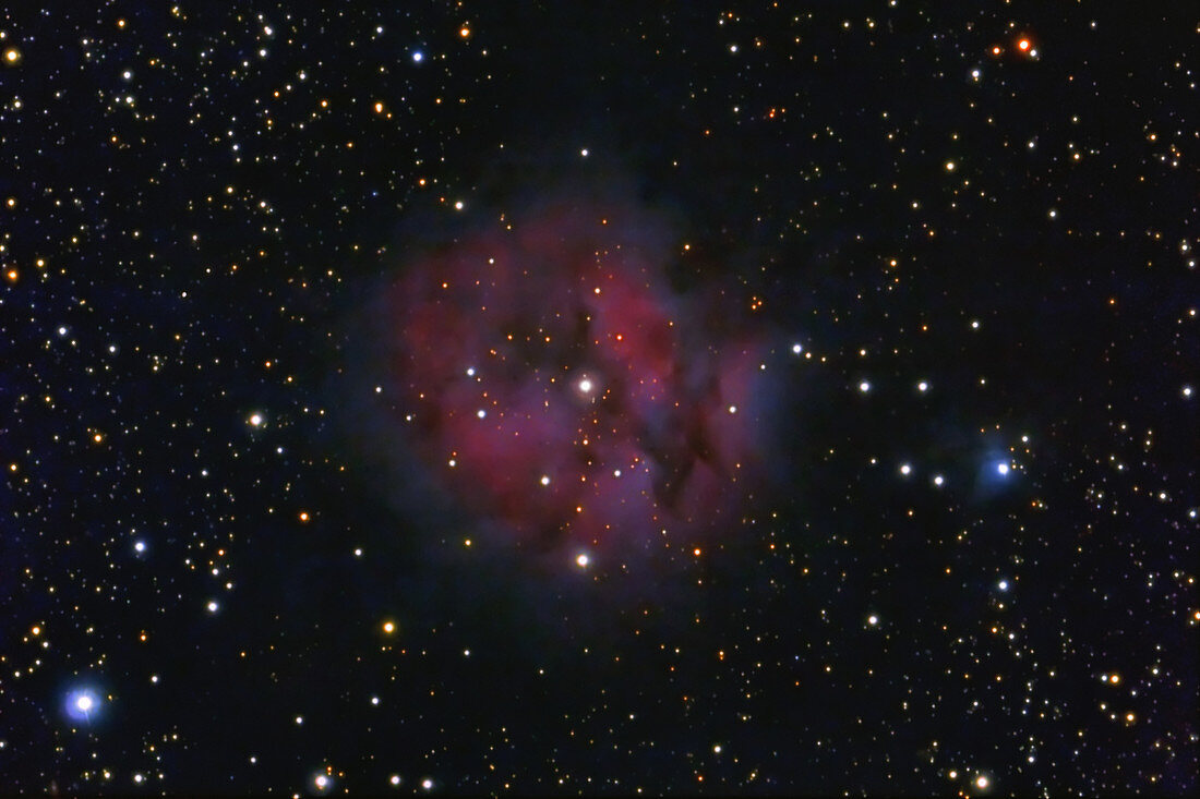 IC 5146, Cocoon Nebula