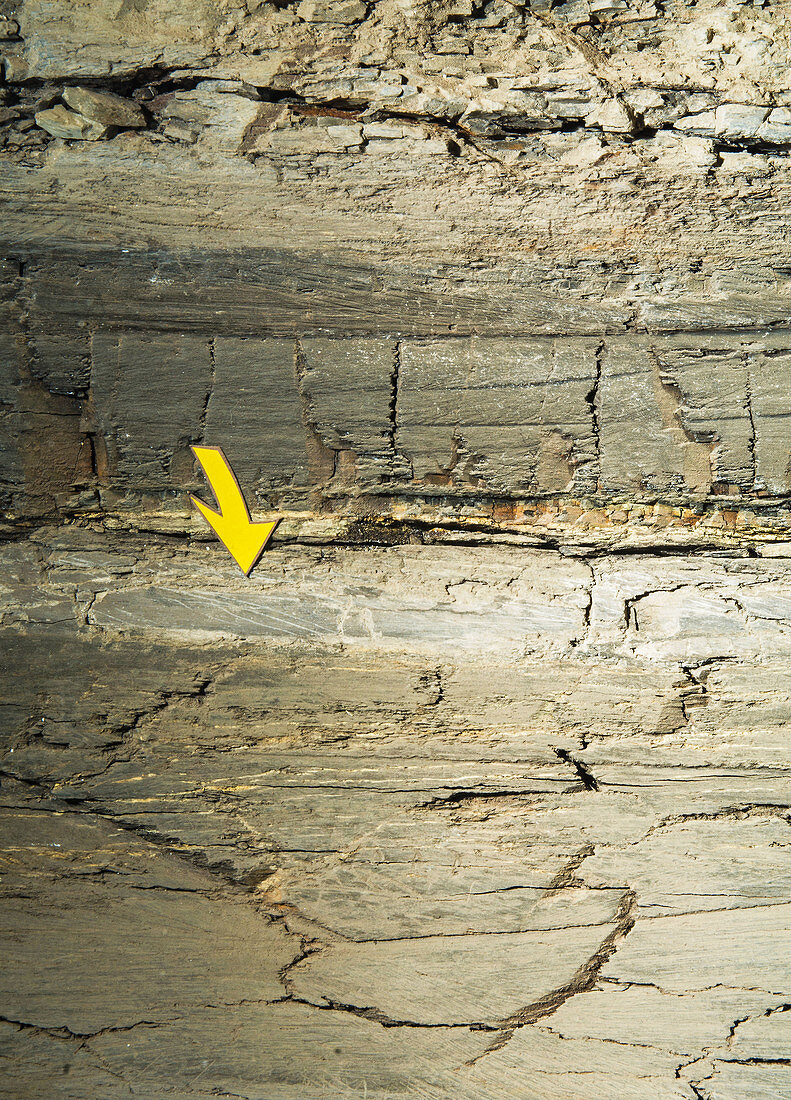 KT Boundary and Iridium Layers in Rock Strata