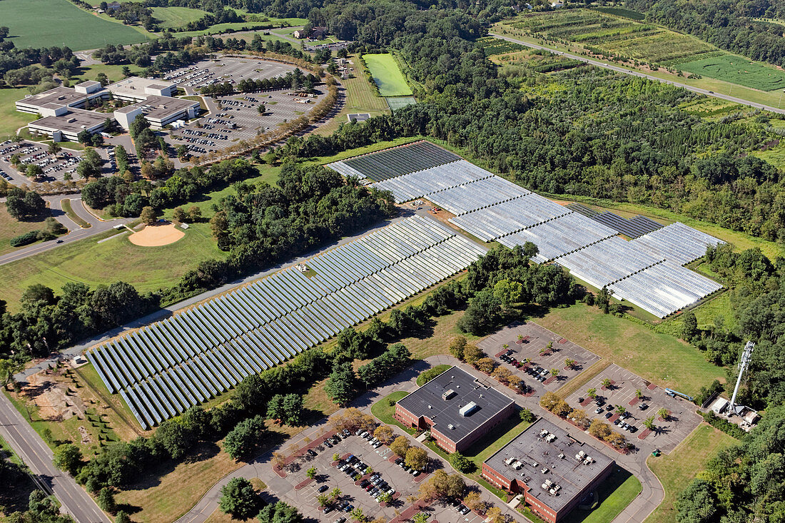 Solar Farm, NJ