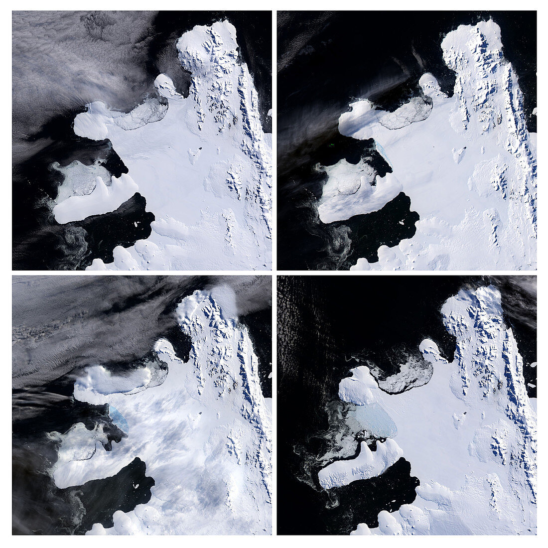 Ice Shelf Disintegrating, Spring 2008
