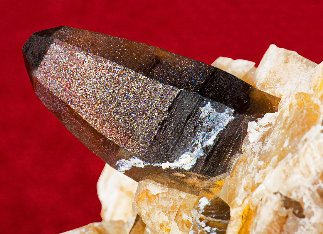 Smokey Quartz Crystal on Microline