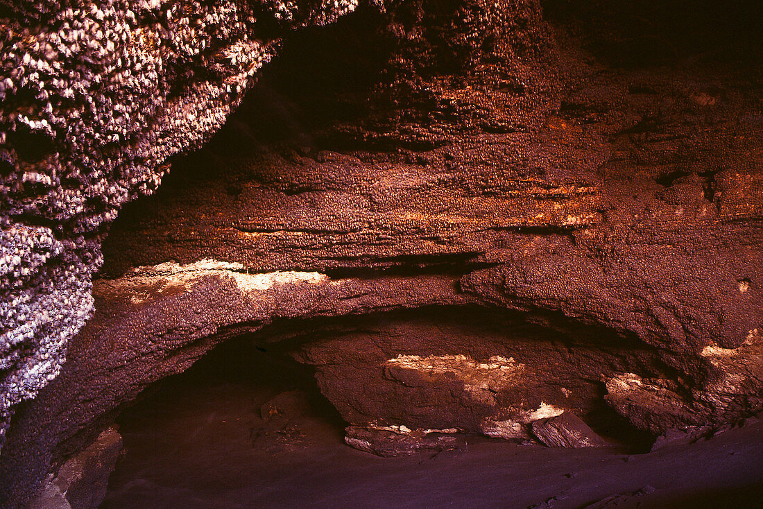 Brazilian free-tailed bats in Bracken Cave