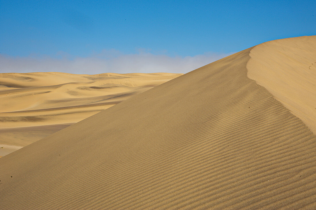 Sand dunes in Namib desert