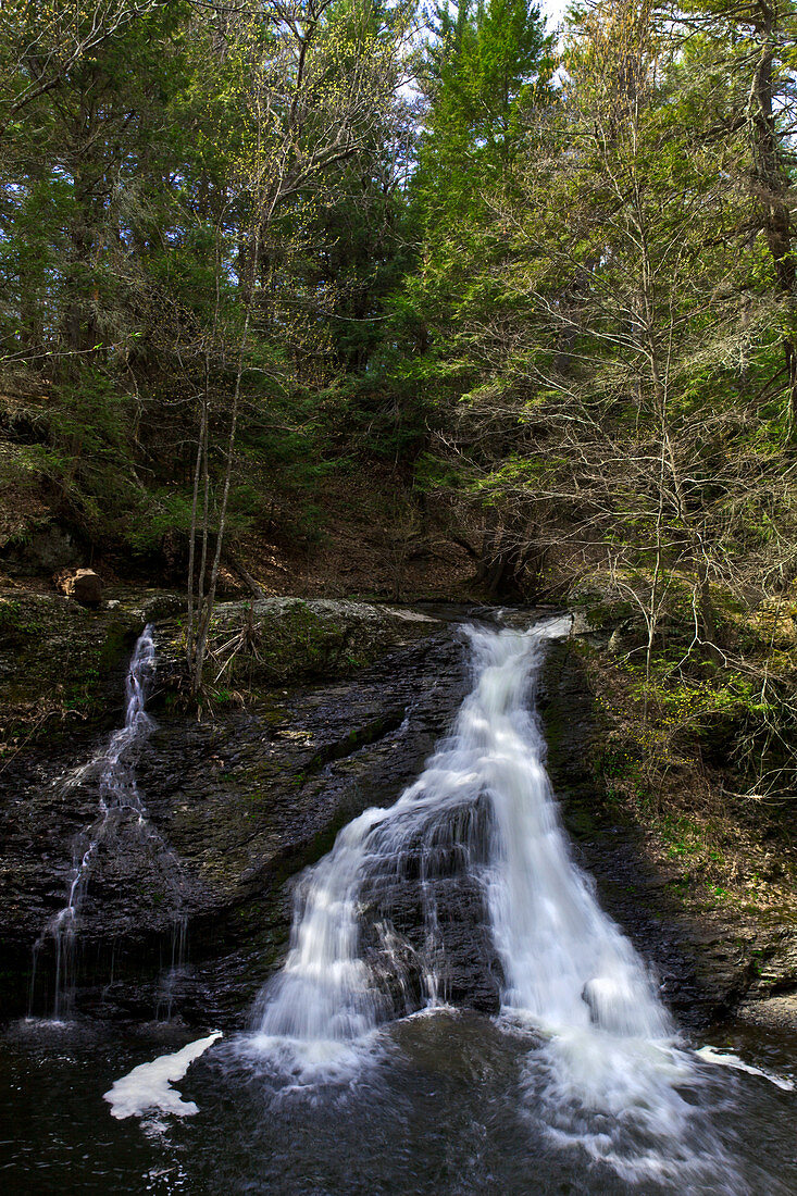 Upper Hornbecks Falls