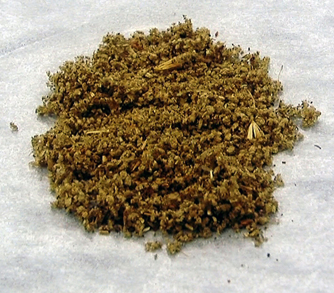 Spice synthetic cannabis