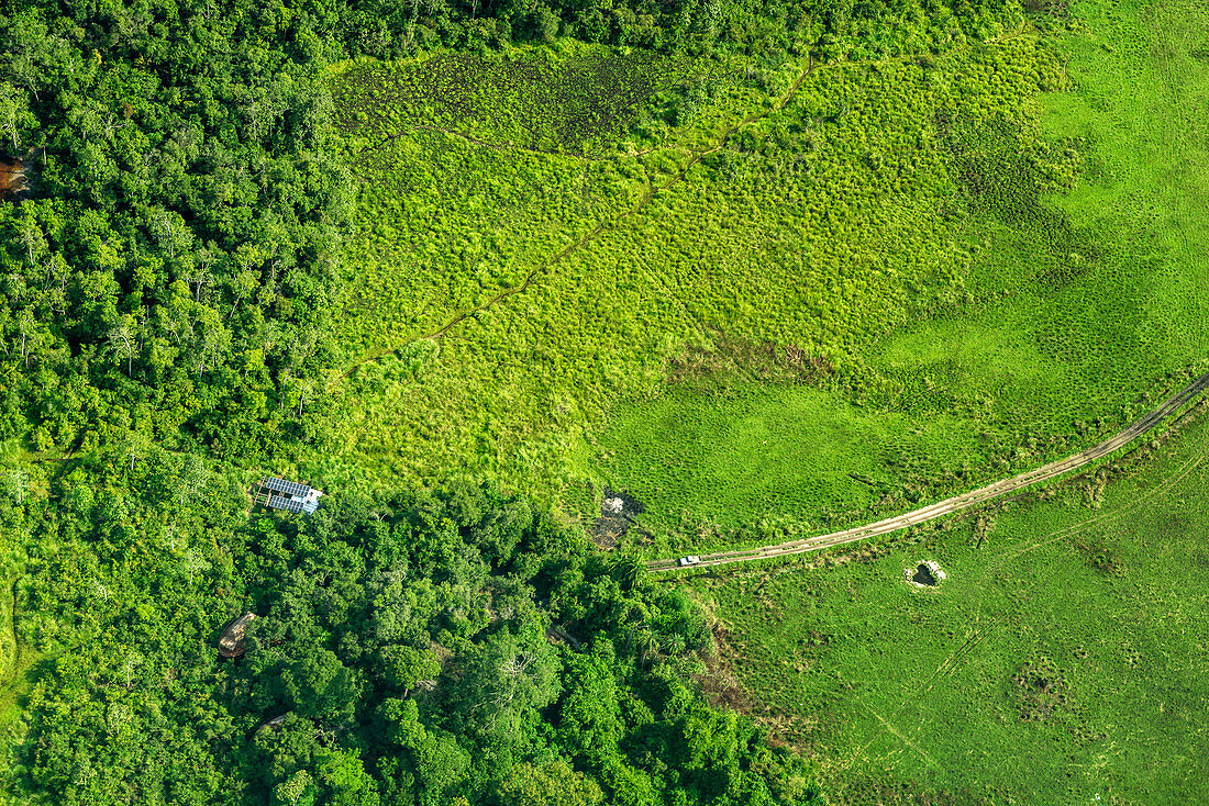 Road Leading To Rainforest, Congo