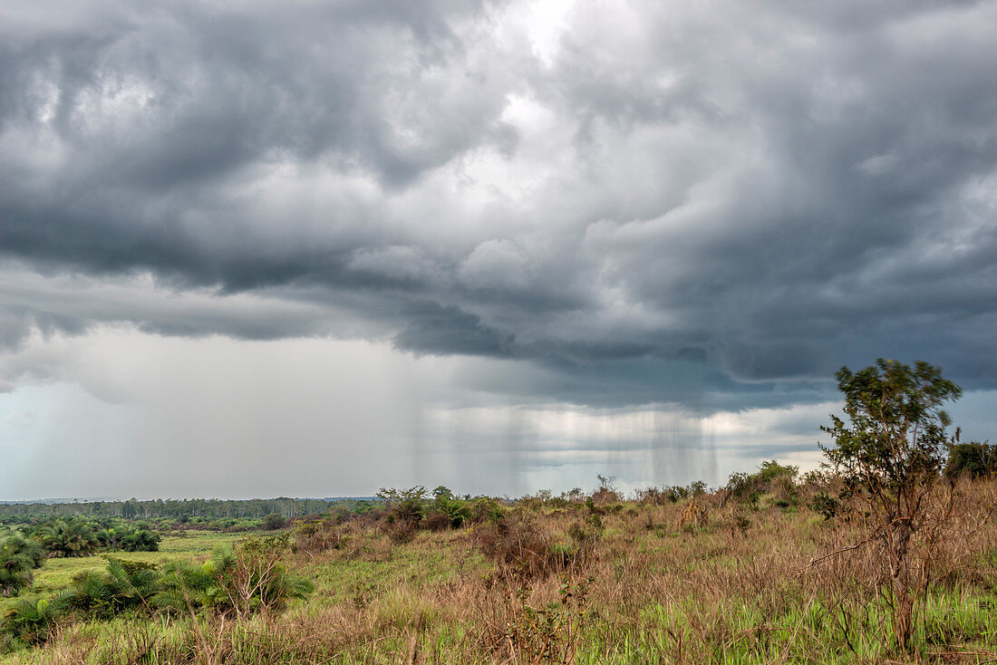 Storm Clouds, Odzala National Park, Congo