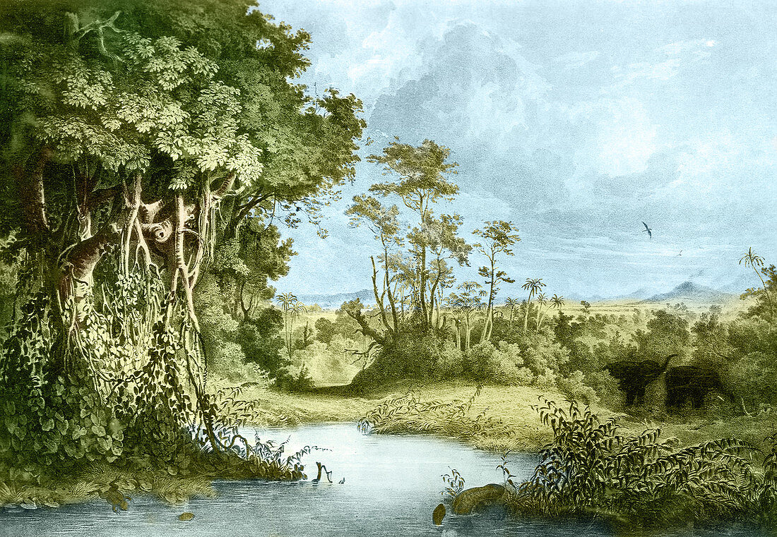 Prehistoric, Miocene Landscape