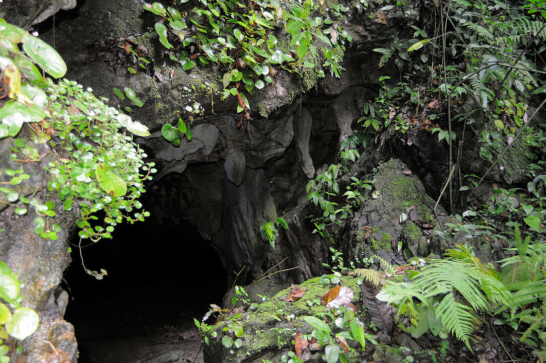 Cave, Malaysia