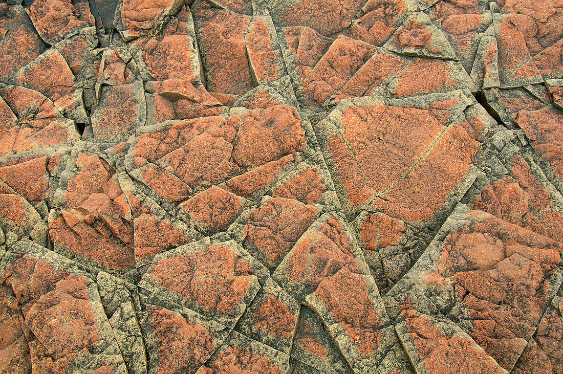 Rock Pattern, Minnesota, USA