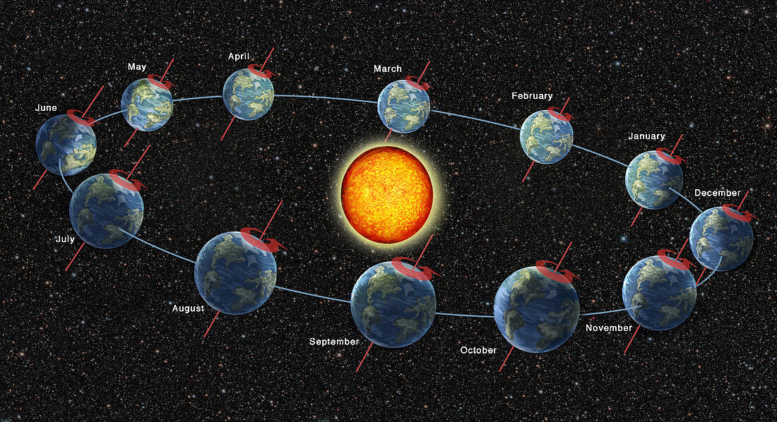 Earth's Orbit Showing Months, Illustration