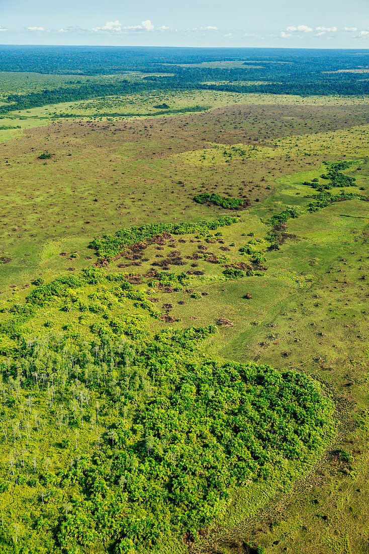 Grassland Aerial View, Congo