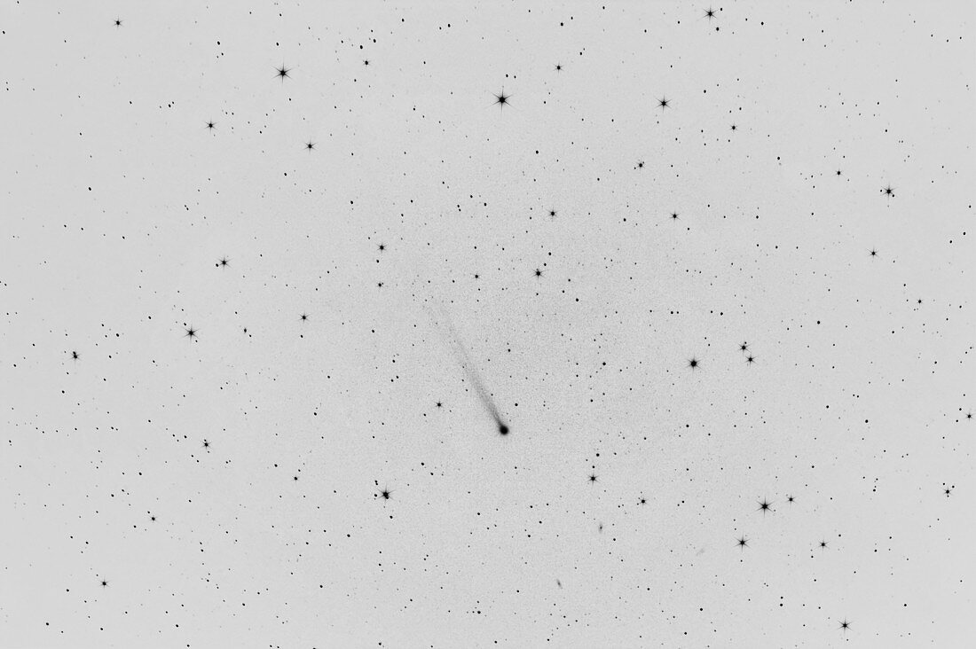 Comet ISON, 2013