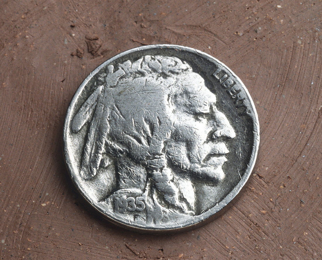 Indian Head Buffalo Nickel