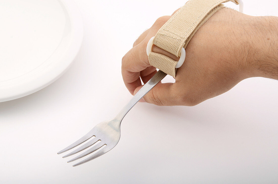 Hand Holding Eating Assist Device, Fork