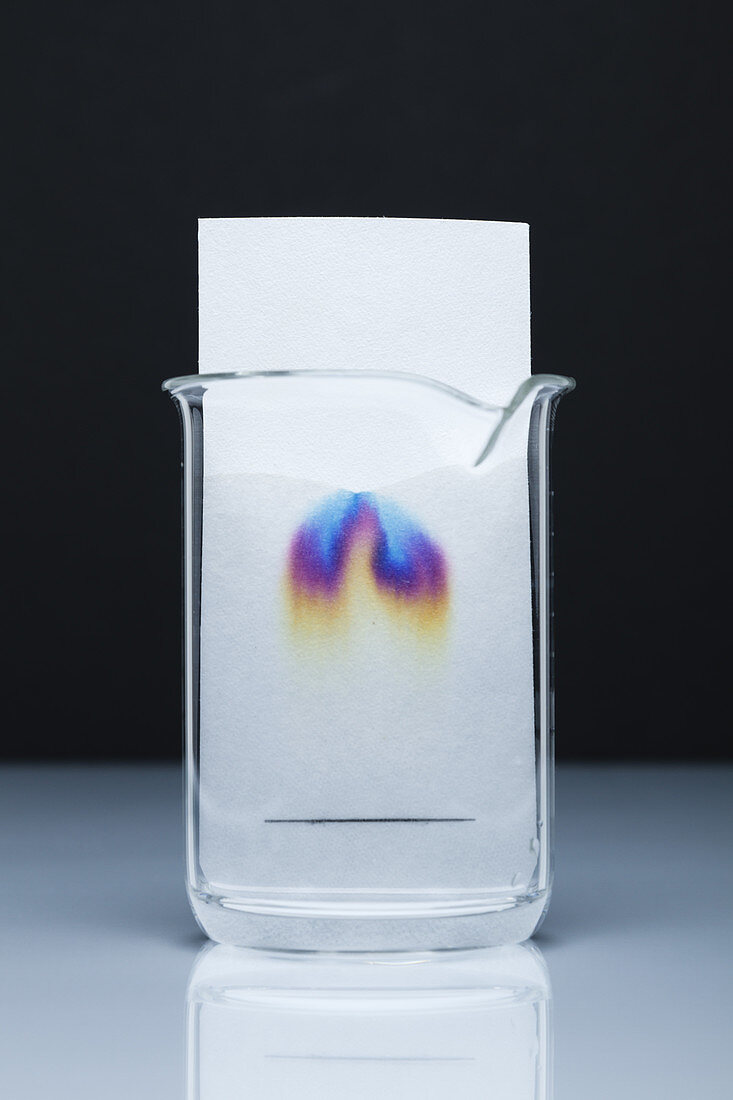 Paper chromatography, 3 of 3
