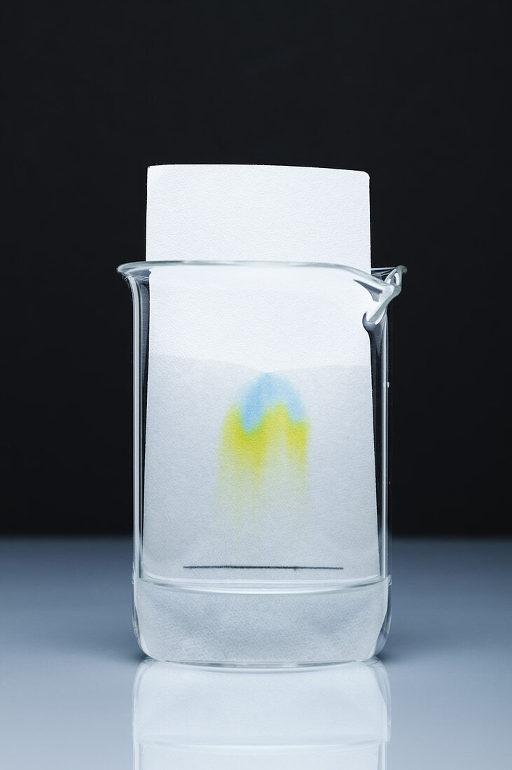 Paper chromatography, 3 of 3