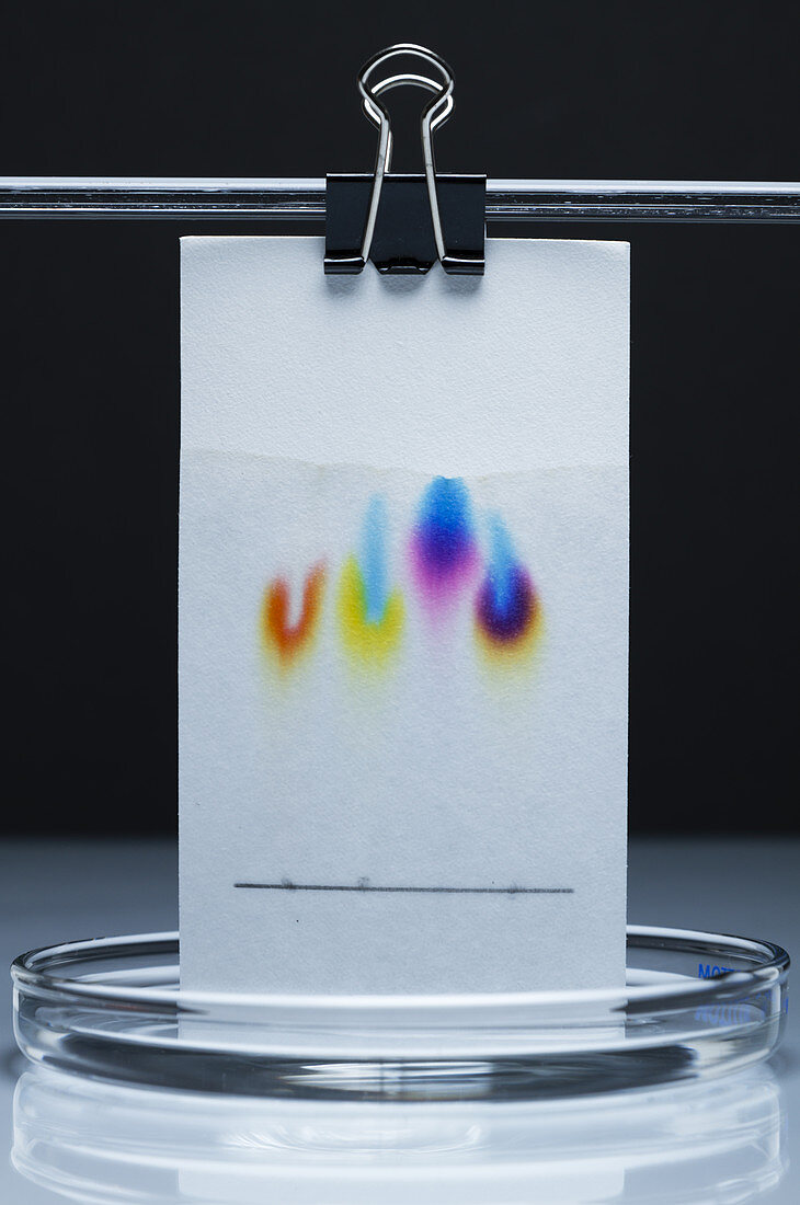 Paper chromatography, 3 of 3