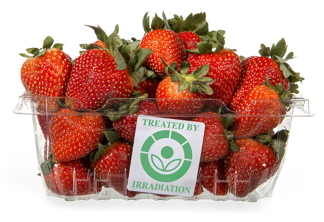 Irradiated Strawberries