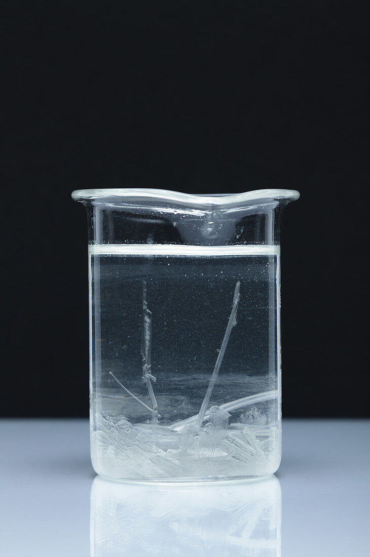Crystallization of supersaturated sodium acetate
