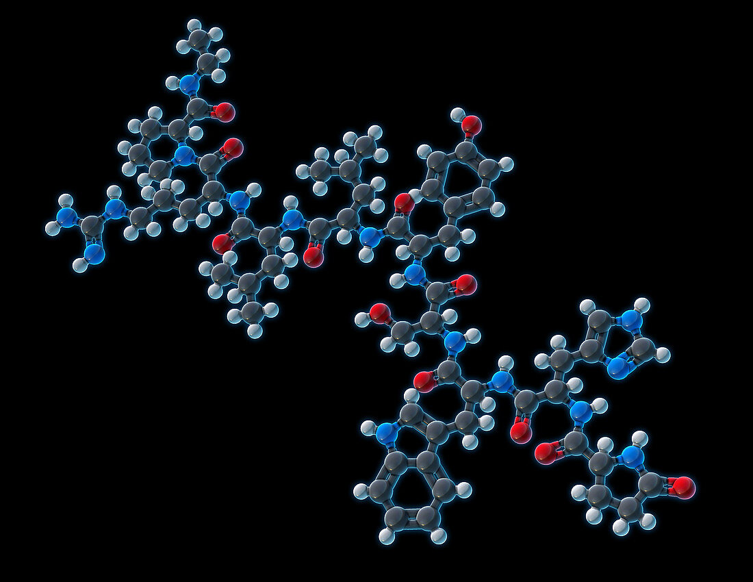 Leuprorelin, Molecular Model