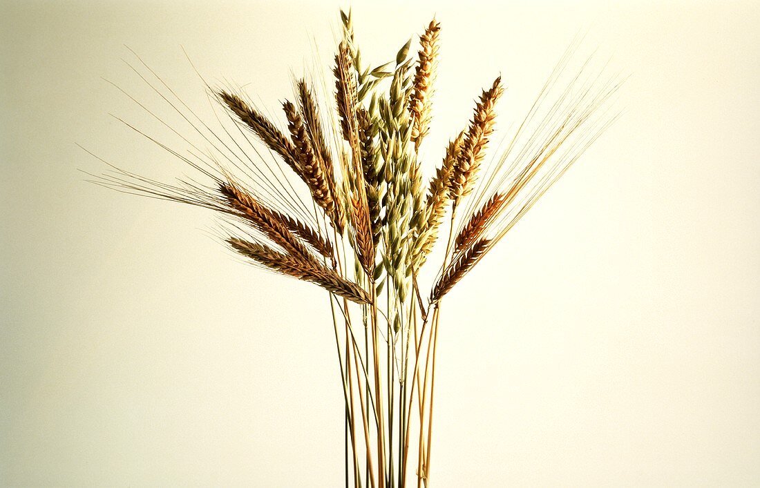 Small Bouquet of Grain Ears