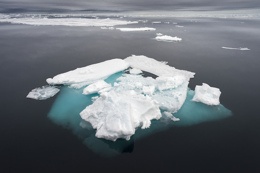 Ice floe in the arctic ocean