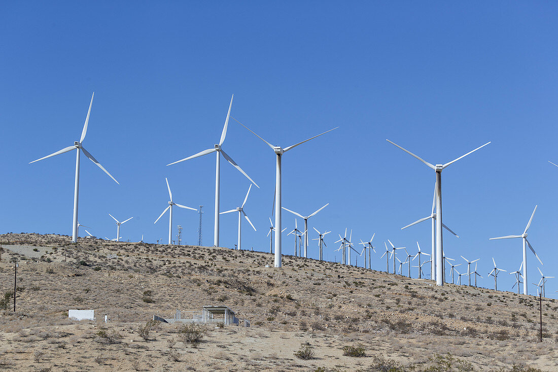 Windmills on hillside, California, USA
