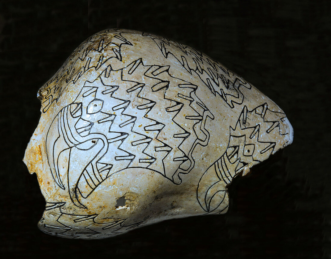 Native American Painted Shell