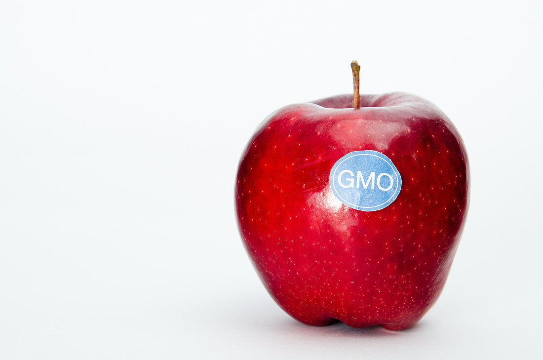 Genetically Modified Produce, Apple