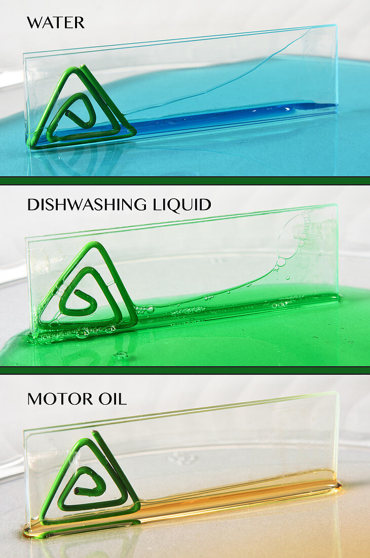 Viscosity of Different Liquids, Labelled
